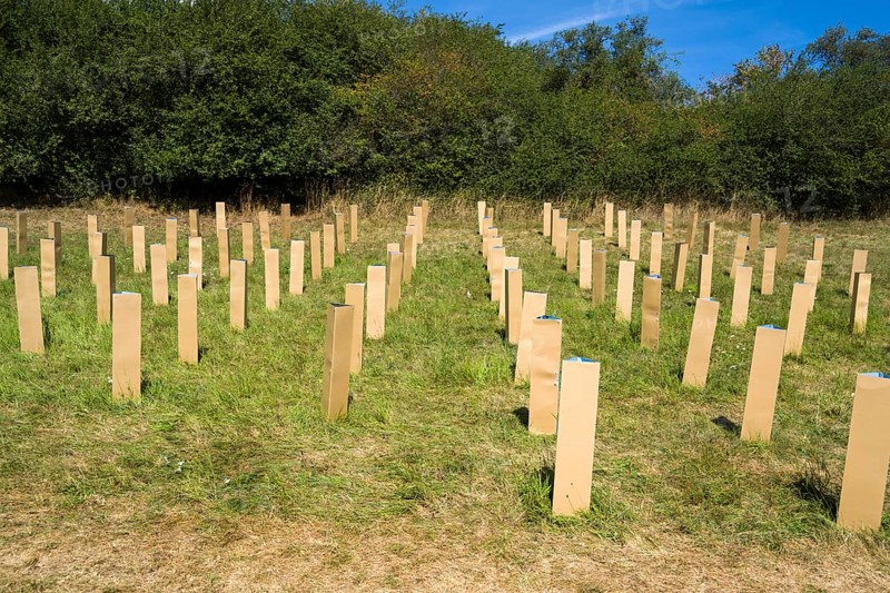The Installation AUFFORSTUNG, REFORESTATION by Matthias Block, 12th international wind art festival 2025, landscape exhibition bewegter wind, Zierenberg, Northern Hesse, Germany