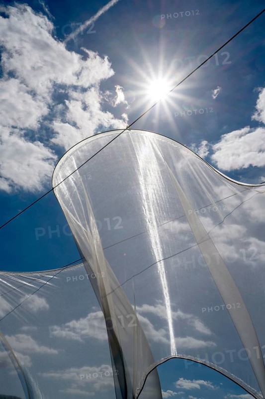 The installation Aurora by Kirsten Sauer (kisa.), 12th international wind art festival 2025, landscape exhibition bewegter wind, Zierenberg, Northern Hesse, Germany