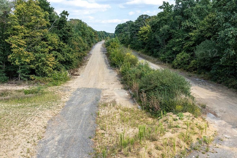 Old A4 motorway route dismantled with vegetation near Manheim, North Rhine-Westphalia, Germany