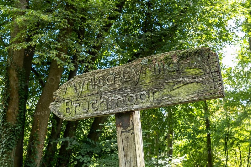 Old wooden sign in the forest, Paffendorf, North Rhine-Westphalia, Germany