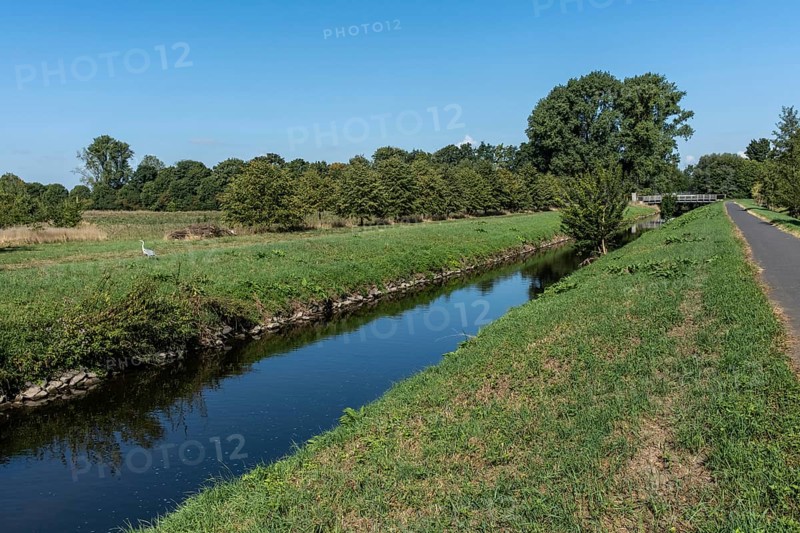 Quiet course of the river Erft with herons, meadows and bridge in the background, Paffendorf, North Rhine-Westphalia, Germany