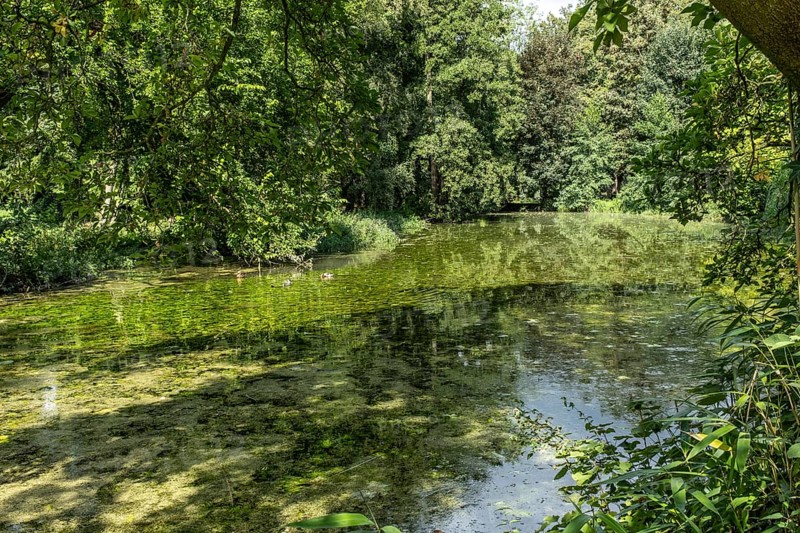 Park pond in Paffendorf Castle Park, Paffendorf, North Rhine-Westphalia, Germany