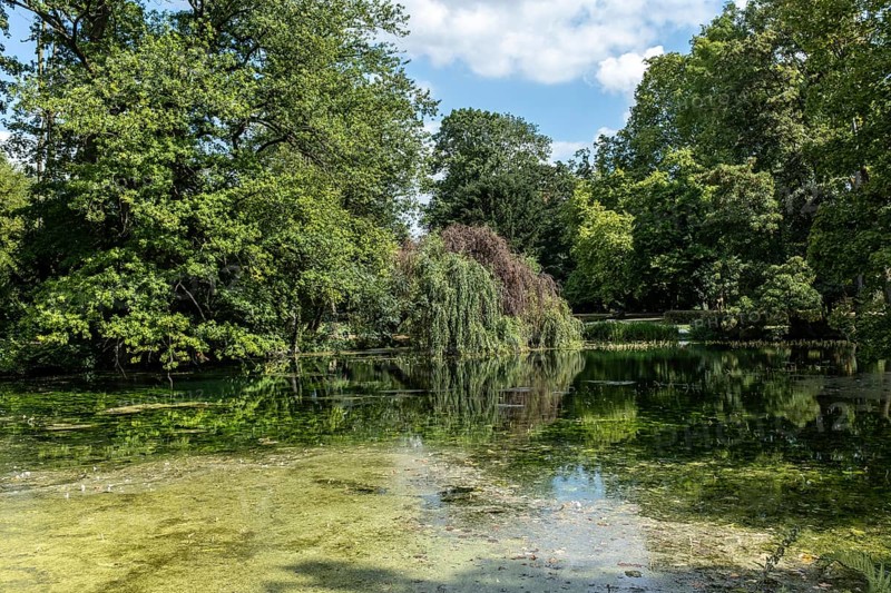 Park pond in Paffendorf Castle Park, Paffendorf, North Rhine-Westphalia, Germany