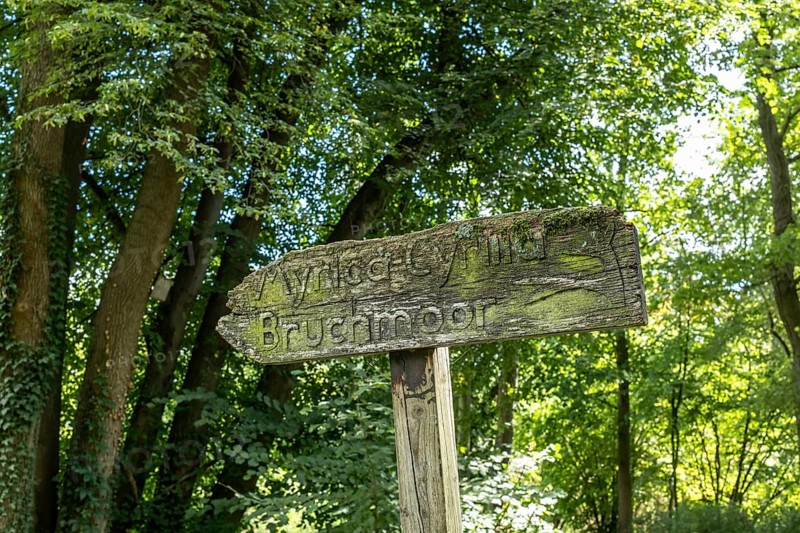 Old wooden sign in the forest, Paffendorf, North Rhine-Westphalia, Germany