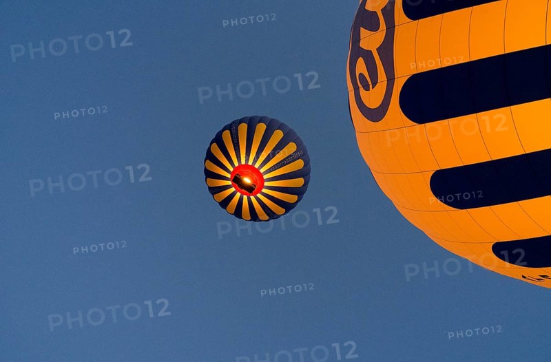 Two yellow-blue hot air balloons floating in front of a clear blue sky, Göreme National Park, Göreme Tarihî Millî Parki, Nevsehir Province, Nevsehir, Cappadocia, Cappadocia, Cappadocia, Cappadocia, Central Anatolia, Turkey