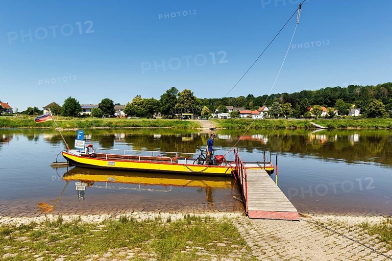 Cyclist on yaw rope ferry, passenger ferry on the Weser, from Herstelle to Würgassen, Beverungen, cycle tour in Weserbergland, North Rhine-Westphalia, Germany
