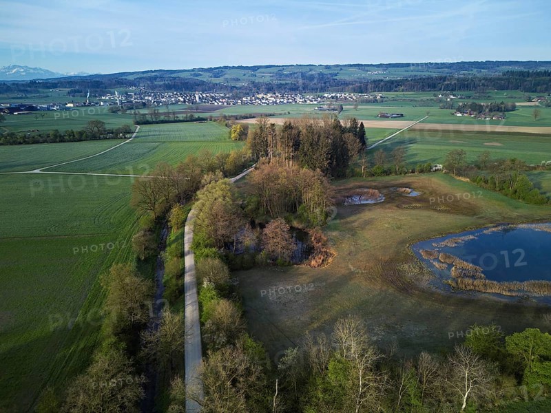 Pond from above behind the Lindenberg, Merenschwand, Freiamt, Canton, Aargau, Switzerland