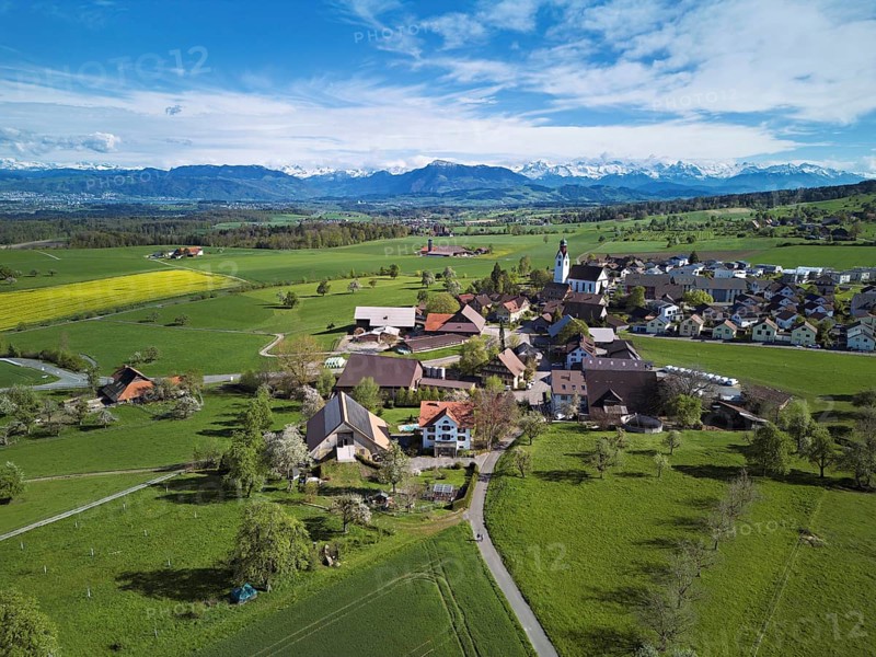 Village view with field of flowering rape, behind the Rigi and the snow-covered Alps, Beinwil, Freiamt, Canton, Aargau, Switzerland