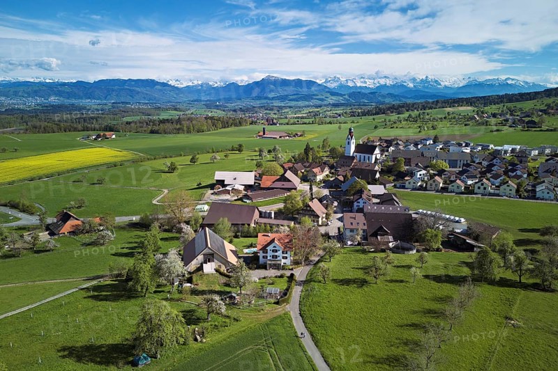 Village view with field of flowering rape, behind the Rigi and the snow-covered Alps, Beinwil, Freiamt, Canton, Aargau, Switzerland