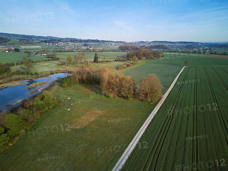 Pond and fields from above behind the Lindenberg, Merenschwand, Freiamt, Canton, Aargau, Switzerland