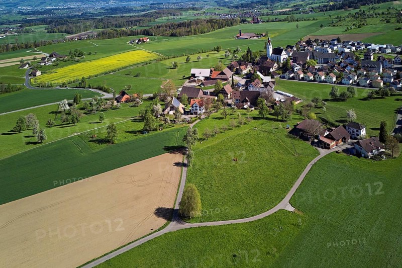 Village view with field of flowering rape, behind the Rigi and the snow-covered Alps, Beinwil, Freiamt, Canton, Aargau, Switzerland