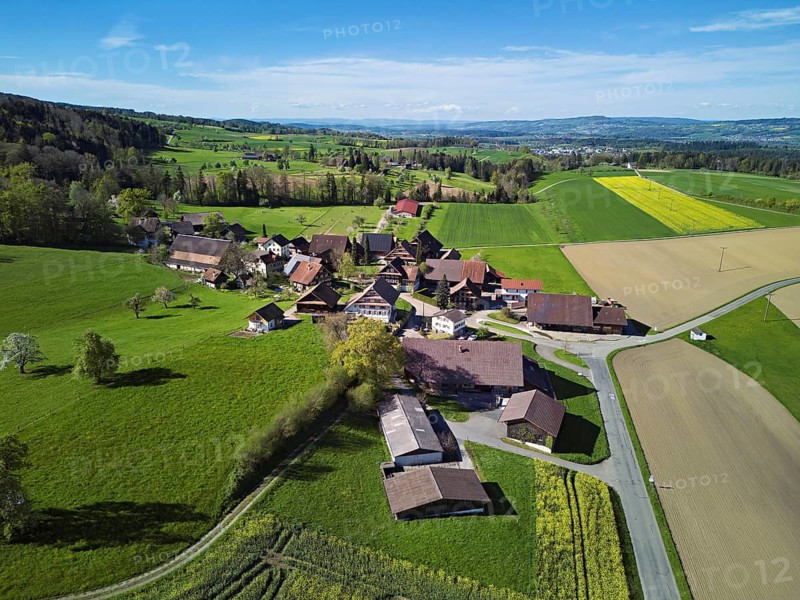 Agricultural fields and rape fields in bloom in the hamlet of Winterschwil, Beinwil, Freiamt, Canton, Aargau, Switzerland