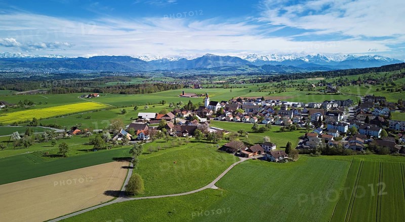Village view with field of flowering rape, behind the Rigi and the snow-covered Alps, Beinwil, Freiamt, Canton, Aargau, Switzerland