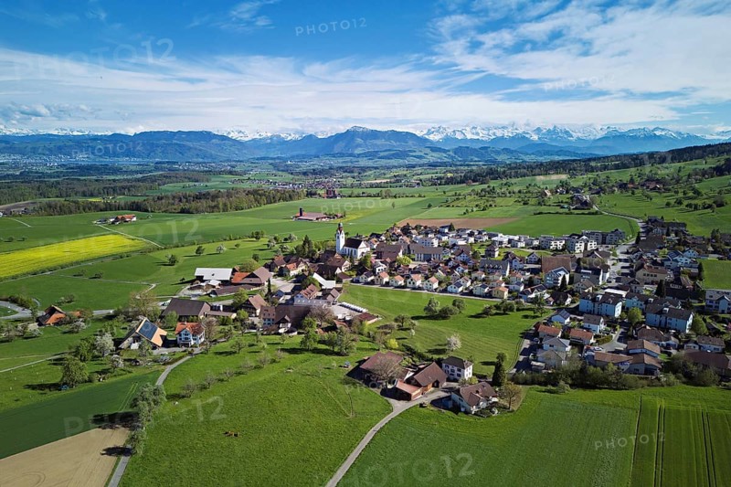 Village view with field of flowering rape, behind the Rigi and the snow-covered Alps, Beinwil, Freiamt, Canton, Aargau, Switzerland