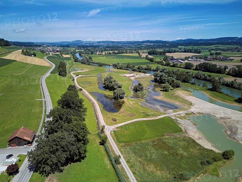 Freshly renaturalised area on the Reuss, floodplain landscape, Reussegg hamlet, Sins, Freiamt, Canton, Aargau, Switzerland