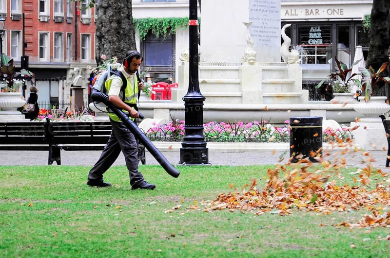 A worker uses a leaf blower to remove leaves in a municipal park, London, England, United Kingdom