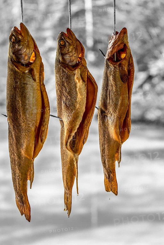 Some smoked trouts hanging side by side