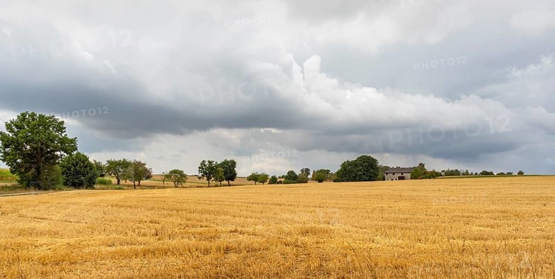 Stormy farmland scenery in Hohenlohe, an area in Southern Germany at late summer time