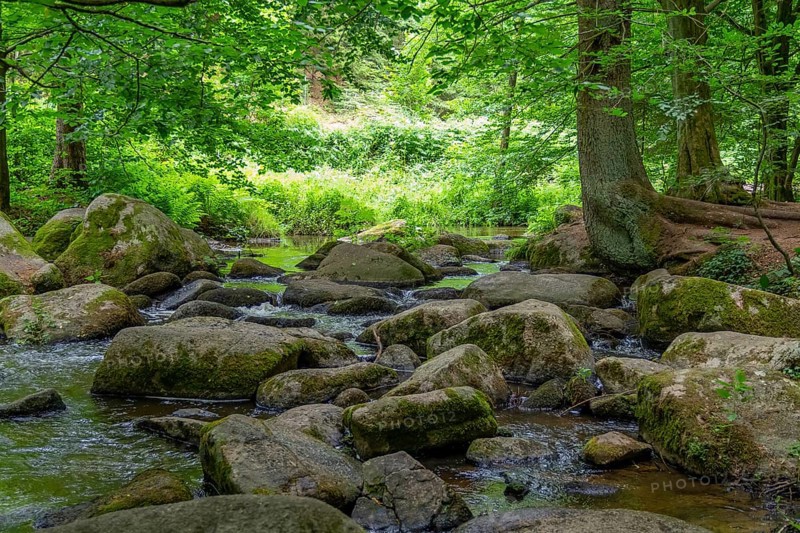 Impression at the idyllic nature reserve named Hoelle in the Bavarian Forestin Southern Germany at summer time