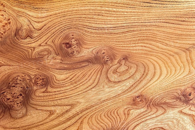 Full frame abstract burl wood background