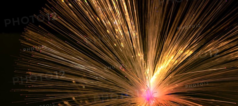 Illuminated fanned out optical fibers closeup in black back
