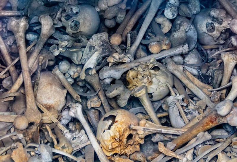 Lots of human bones from fallen soldiers seen at the Douaumont Ossuary, a memorial located near Verdun in France