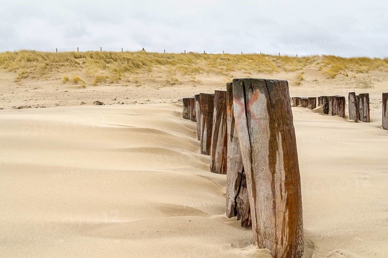 Sandy beach detail showing a groyne and dune overgrown with grass in a dutch province named Zeeland