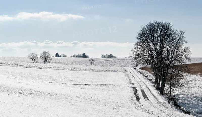 Snowbound rural landscape at winter time in Hohenlohe, an area in Southern Germany