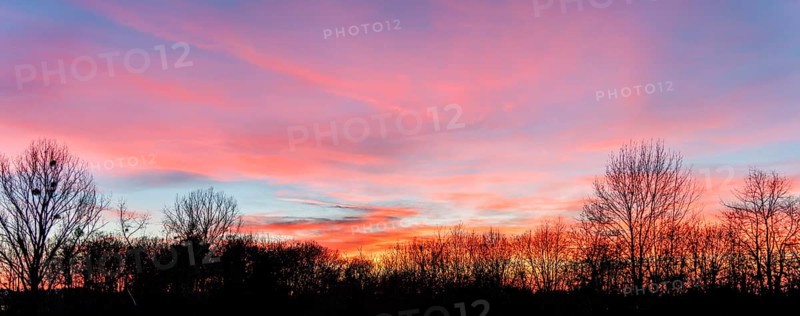 A colorful sundown including some clouds behind some leafless treetop silhouettes