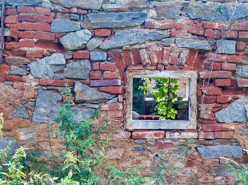 Old brick with window opening and green plants, gives a rustic ambience Styria Austria