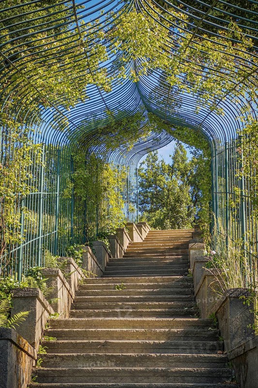 Rose staircase at Babelsberg Palace, Potsdam, Brandenburg, Germany