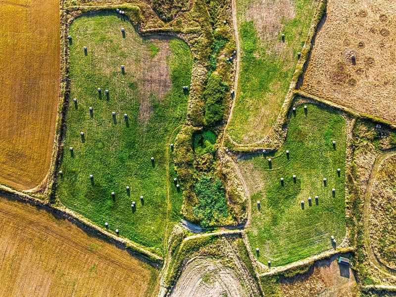 Top Down view over Cornwall fields and farms from a drone, Lizard Peninsula, South West Coast Path, Lizard, Cornwall, England, United Kingdom