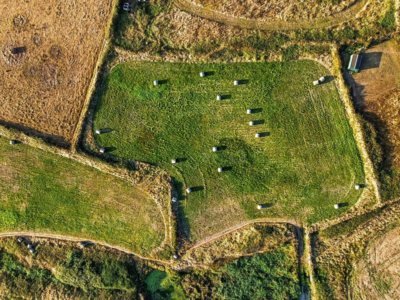 Top Down view over Cornwall fields and farms from a drone, Lizard Peninsula, South West Coast Path, Lizard, Cornwall, England, United Kingdom