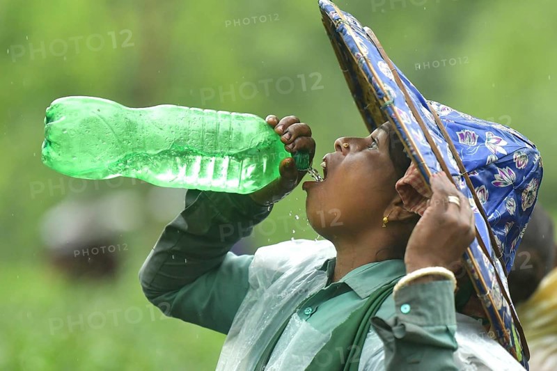 Agartala, Tripura, India, 17-07-2025: A tea garden worker drinks water while she working in a tea garden as she covered her body with plastis in a tea garden during a heavy rain in Durgabari tea garden on the outskirts of Agartala. Photo By-Abhisek Saha