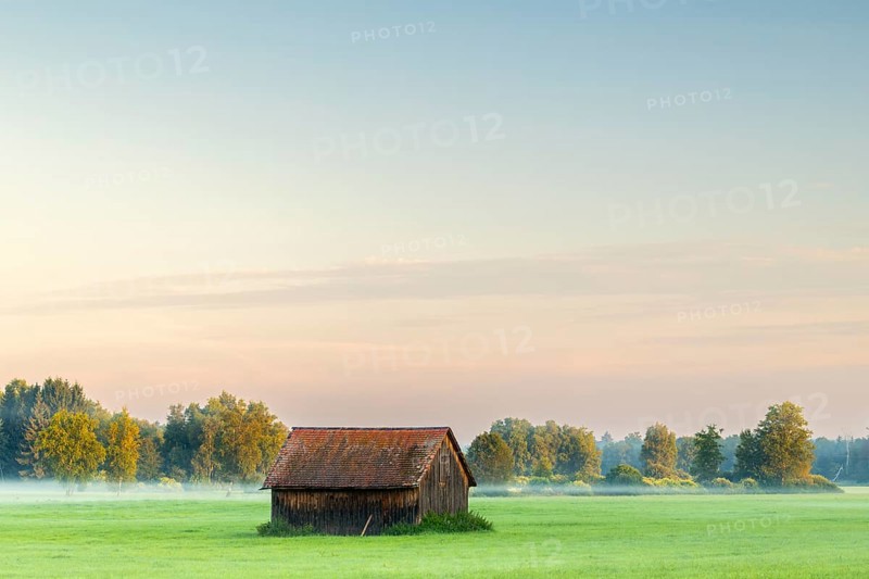 Wooden hut in wet meadow, fog, birch, birch family (Betulaceae), Wilhelmsdorf, Pfrunger-Burgweiler Ried, Baden-Württemberg, Germany