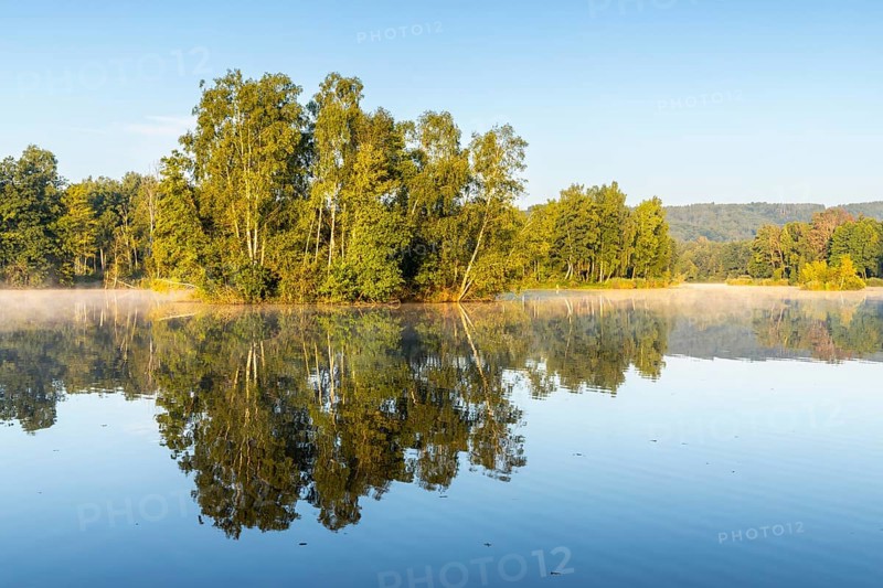 Nillsee, moorland lake, birch trees on an island, birch trees (Betula), birch family (Betulaceae), morning mood, Wilhelmsdorf, Pfrunger-Burgweiler Ried, Baden-Württemberg, Germany