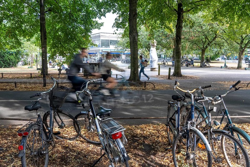 Cycle traffic in Münster, Promenade cycle path, tree-lined, car-free, approximately 4.5 km long ring road around the city centre of Münster, dense cycle traffic, North Rhine-Westphalia, Germany