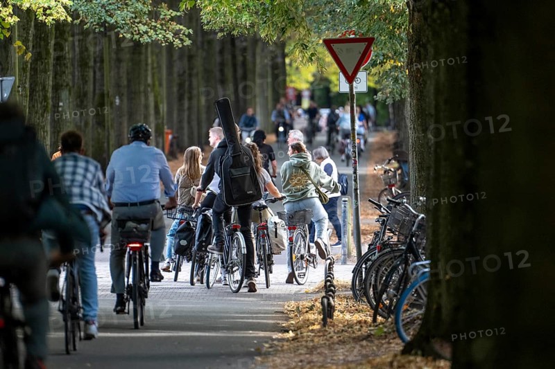 Cycle traffic in Münster, Promenade cycle path, tree-lined, car-free, approximately 4.5 km long ring road around the city centre of Münster, dense cycle traffic, North Rhine-Westphalia, Germany
