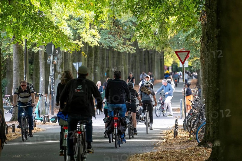 Cycle traffic in Münster, Promenade cycle path, tree-lined, car-free, approximately 4.5 km long ring road around the city centre of Münster, dense cycle traffic, North Rhine-Westphalia, Germany