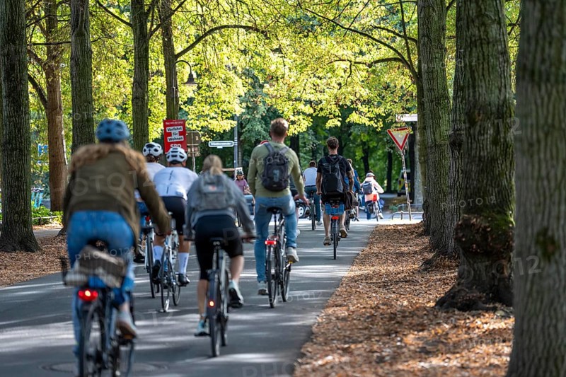 Cycle traffic in Münster, Promenade cycle path, tree-lined, car-free, approximately 4.5 km long ring road around the city centre of Münster, dense cycle traffic, North Rhine-Westphalia, Germany