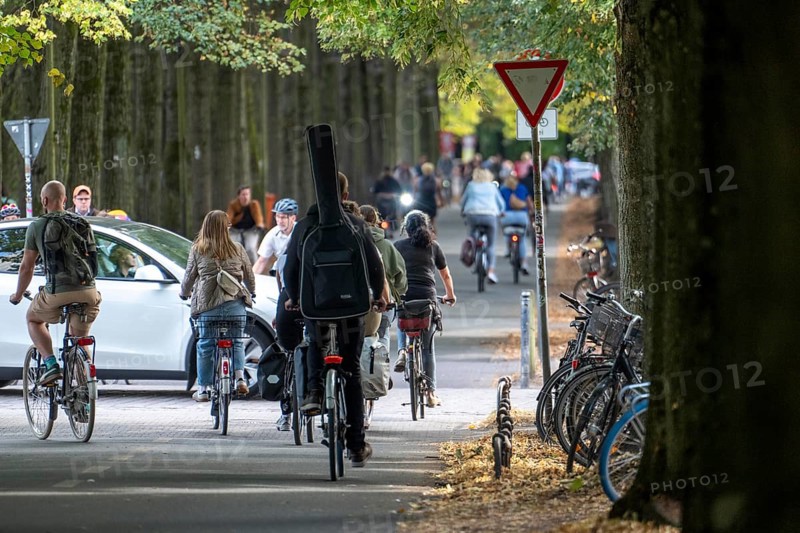 Cycle traffic in Münster, Promenade cycle path, tree-lined, car-free, approximately 4.5 km long ring road around the city centre of Münster, dense cycle traffic, North Rhine-Westphalia, Germany