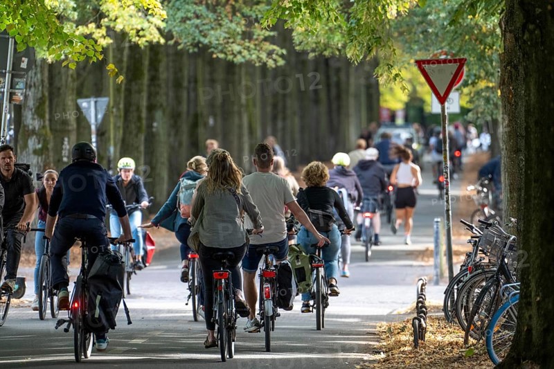Cycle traffic in Münster, Promenade cycle path, tree-lined, car-free, approximately 4.5 km long ring road around the city centre of Münster, dense cycle traffic, North Rhine-Westphalia, Germany