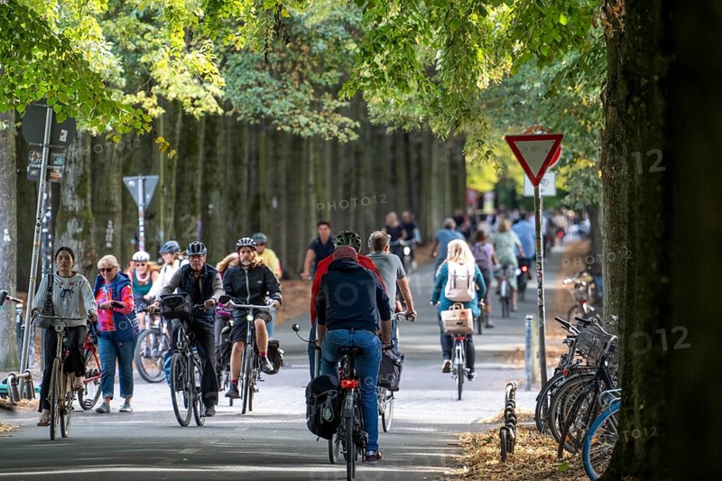 Cycle traffic in Münster, Promenade cycle path, tree-lined, car-free, approximately 4.5 km long ring road around the city centre of Münster, dense cycle traffic, North Rhine-Westphalia, Germany