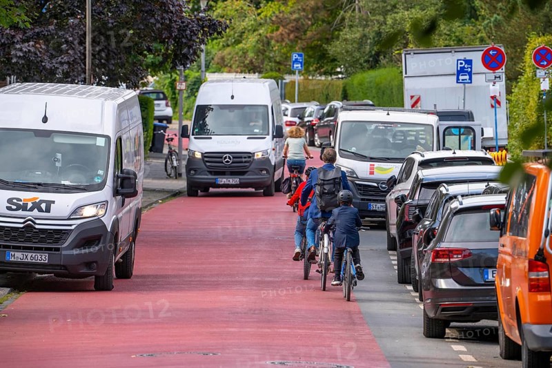 Cycling in Münster, cycle lane, Goldstraße, red asphalt and pictograms indicate to motorists that cyclists have priority, city centre of Münster, North Rhine-Westphalia, Germany