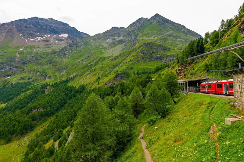 Beautiful Passenger Train Bernina Express on Mountain Alp Grüm in Swiss Alps in a Sunny Cloudy Summer Day in Poschiavo, Bernina, Grisons, Switzerland