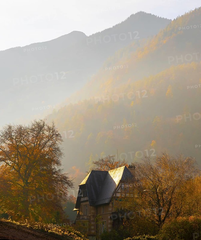 Beautiful Autumn Forest and an Old House and Mountain in the Swiss Alps and Sky with Sunlight in a Sunny Day in Bad Ragaz, St Gallen, Switzerland