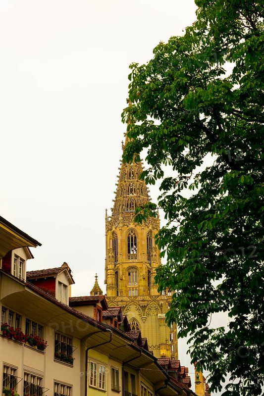 Beautiful Münster Cathedral of St Vincent with Tower and Tree Branch and Sky in City of Bern, Canton Bern, Switzerland