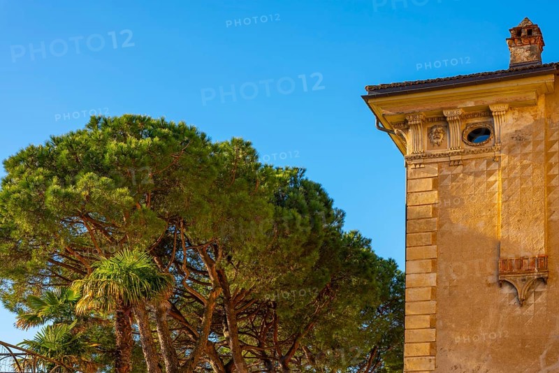 Old Beautiful Building and Tree Branch on a Sunny Day with Blue Clear Sky in Morcote, Ticino, Switzerland