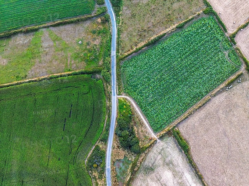 Top Down view over fields and farms from a drone, Kynance Cove, Mount's Bay, Lizard Point, Cornwall, England, United Kingdom