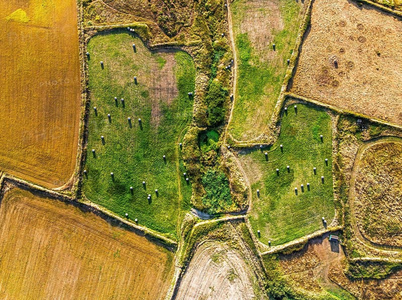 Top Down view over Cornwall fields and farms from a drone, Lizard Peninsula, South West Coast Path, Lizard, Cornwall, England, United Kingdom